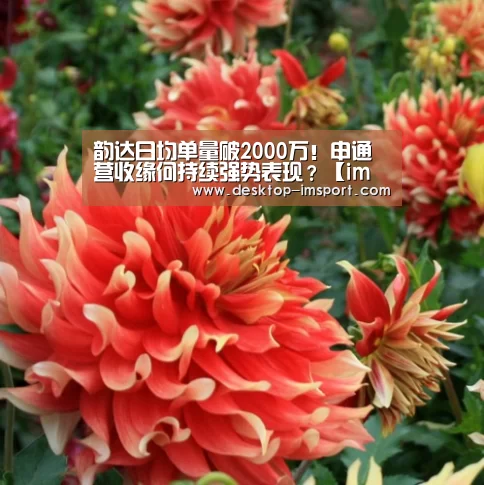 韵达日均单量破2000万！申通营收缘何持续强势表现？【im体育官网】