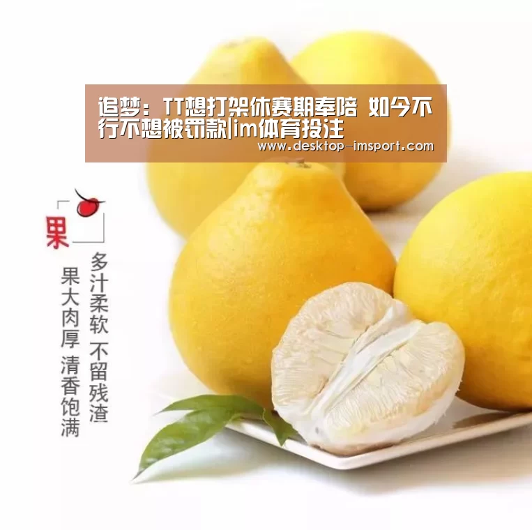 im体育官网