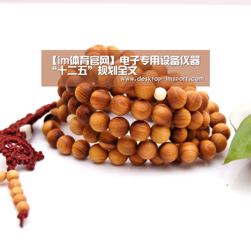 【im体育官网】电子专用设备仪器“十二五